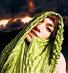 005.jpg