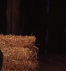 Filename=434.jpg
Filesize=152KiB
Dimensions=1920x962
Date added=Nov 03, 2025 434.jpg