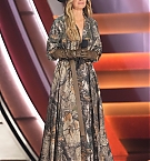 Filename=038.jpg
Filesize=4306KiB
Dimensions=2000x3000
Date added=Nov 29, 2025 038.jpg