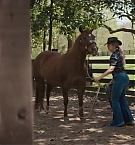 Filename=188.jpg
Filesize=174KiB
Dimensions=1920x800
Date added=Nov 05, 2025 188.jpg