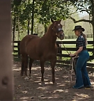 Filename=189.jpg
Filesize=173KiB
Dimensions=1920x800
Date added=Nov 05, 2025 189.jpg