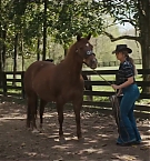 Filename=190.jpg
Filesize=182KiB
Dimensions=1920x800
Date added=Nov 05, 2025 190.jpg