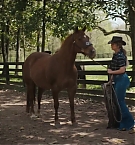 Filename=191.jpg
Filesize=187KiB
Dimensions=1920x800
Date added=Nov 05, 2025 191.jpg