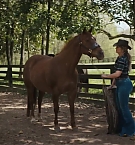 Filename=192.jpg
Filesize=205KiB
Dimensions=1920x800
Date added=Nov 05, 2025 192.jpg