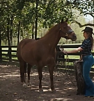 Filename=193.jpg
Filesize=213KiB
Dimensions=1920x800
Date added=Nov 05, 2025 193.jpg