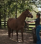 Filename=194.jpg
Filesize=212KiB
Dimensions=1920x800
Date added=Nov 05, 2025 194.jpg