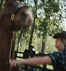 Filename=228.jpg
Filesize=158KiB
Dimensions=1920x800
Date added=Nov 05, 2025 228.jpg