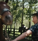 Filename=229.jpg
Filesize=152KiB
Dimensions=1920x800
Date added=Nov 05, 2025 229.jpg