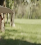 Filename=271.jpg
Filesize=111KiB
Dimensions=1920x800
Date added=Nov 05, 2025 271.jpg