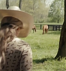 Filename=279.jpg
Filesize=154KiB
Dimensions=1920x800
Date added=Nov 05, 2025 279.jpg