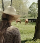 Filename=280.jpg
Filesize=150KiB
Dimensions=1920x800
Date added=Nov 05, 2025 280.jpg