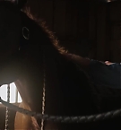 Filename=373.jpg
Filesize=90KiB
Dimensions=1920x800
Date added=Nov 05, 2025 373.jpg