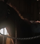 Filename=374.jpg
Filesize=92KiB
Dimensions=1920x800
Date added=Nov 05, 2025 374.jpg