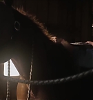 Filename=376.jpg
Filesize=92KiB
Dimensions=1920x800
Date added=Nov 05, 2025 376.jpg