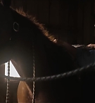 Filename=377.jpg
Filesize=92KiB
Dimensions=1920x800
Date added=Nov 05, 2025 377.jpg