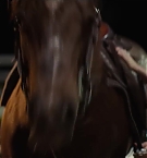 Filename=446.jpg
Filesize=92KiB
Dimensions=1920x800
Date added=Nov 05, 2025 446.jpg