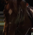 Filename=447.jpg
Filesize=92KiB
Dimensions=1920x800
Date added=Nov 05, 2025 447.jpg