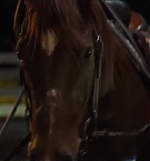 Filename=448.jpg
Filesize=97KiB
Dimensions=1920x800
Date added=Nov 05, 2025 448.jpg