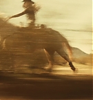 Filename=356.jpg
Filesize=361KiB
Dimensions=3840x2160
Date added=Nov 05, 2025 356.jpg