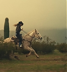 Filename=361.jpg
Filesize=330KiB
Dimensions=3840x2160
Date added=Nov 05, 2025 361.jpg