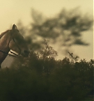 Filename=366.jpg
Filesize=314KiB
Dimensions=3840x2160
Date added=Nov 05, 2025 366.jpg