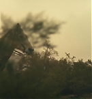 Filename=367.jpg
Filesize=318KiB
Dimensions=3840x2160
Date added=Nov 05, 2025 367.jpg