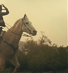 Filename=370.jpg
Filesize=329KiB
Dimensions=3840x2160
Date added=Nov 05, 2025 370.jpg