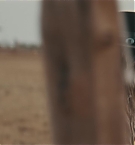 Filename=209.jpg
Filesize=319KiB
Dimensions=3840x1708
Date added=Nov 05, 2025 209.jpg