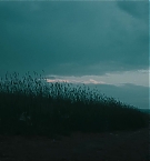 Filename=260.jpg
Filesize=322KiB
Dimensions=3840x1708
Date added=Nov 05, 2025 260.jpg