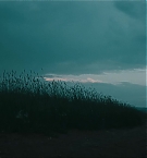 Filename=261.jpg
Filesize=310KiB
Dimensions=3840x1708
Date added=Nov 05, 2025 261.jpg