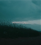 Filename=262.jpg
Filesize=313KiB
Dimensions=3840x1708
Date added=Nov 05, 2025 262.jpg