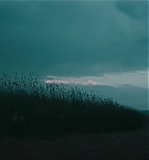 Filename=263.jpg
Filesize=311KiB
Dimensions=3840x1708
Date added=Nov 05, 2025 263.jpg