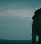 Filename=451.jpg
Filesize=283KiB
Dimensions=3840x1708
Date added=Nov 05, 2025 451.jpg