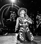 Filename=085.jpg
Filesize=1182KiB
Dimensions=2048x1366
Date added=Nov 04, 2025 085.jpg