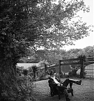 Filename=008.jpg
Filesize=5164KiB
Dimensions=3226x4213
Date added=Nov 03, 2025 008.jpg