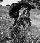 Filename=017.jpg
Filesize=832KiB
Dimensions=1366x2048
Date added=Nov 03, 2025 017.jpg