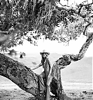 Filename=019.jpg
Filesize=1120KiB
Dimensions=1366x2048
Date added=Nov 03, 2025 019.jpg