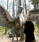 154.jpg