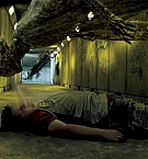 Filename=304.jpg
Filesize=218KiB
Dimensions=1383x779
Date added=Mar 01, 2025 304.jpg