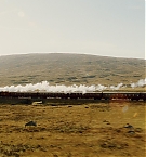 334.jpg
