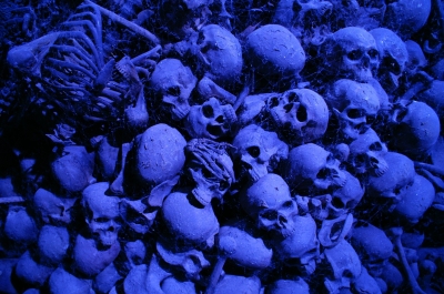 653.jpg