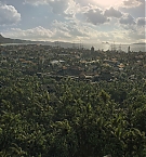 100.jpg