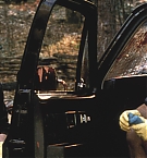 F1325318.jpg