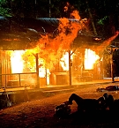 124.jpg