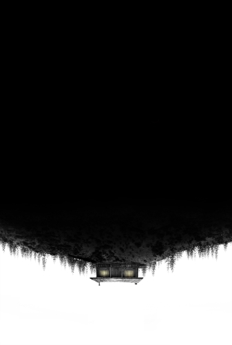 009.jpg
