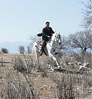 Filename=075.jpg
Filesize=1800KiB
Dimensions=4000x2667
Date added=Apr 29, 2025 075.jpg