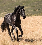 Filename=020.jpg
Filesize=940KiB
Dimensions=3000x2252
Date added=Apr 29, 2025 020.jpg