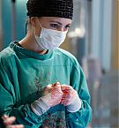 Filename=073.jpg
Filesize=1486KiB
Dimensions=2000x3000
Date added=Feb 29, 2024 073.jpg